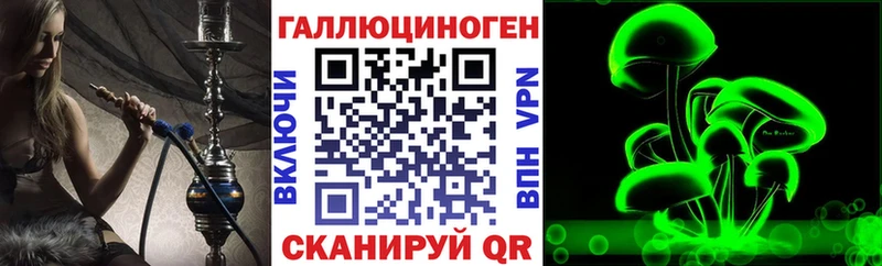 Псилоцибиновые грибы мицелий  Каменногорск 